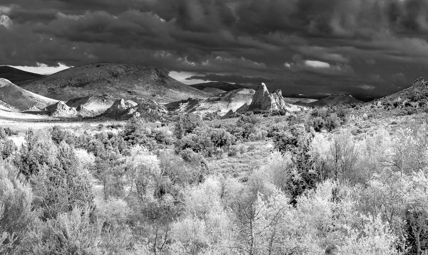 Photography Beyond Human Vision: Types That Freeze Time and Reveal the Invisible