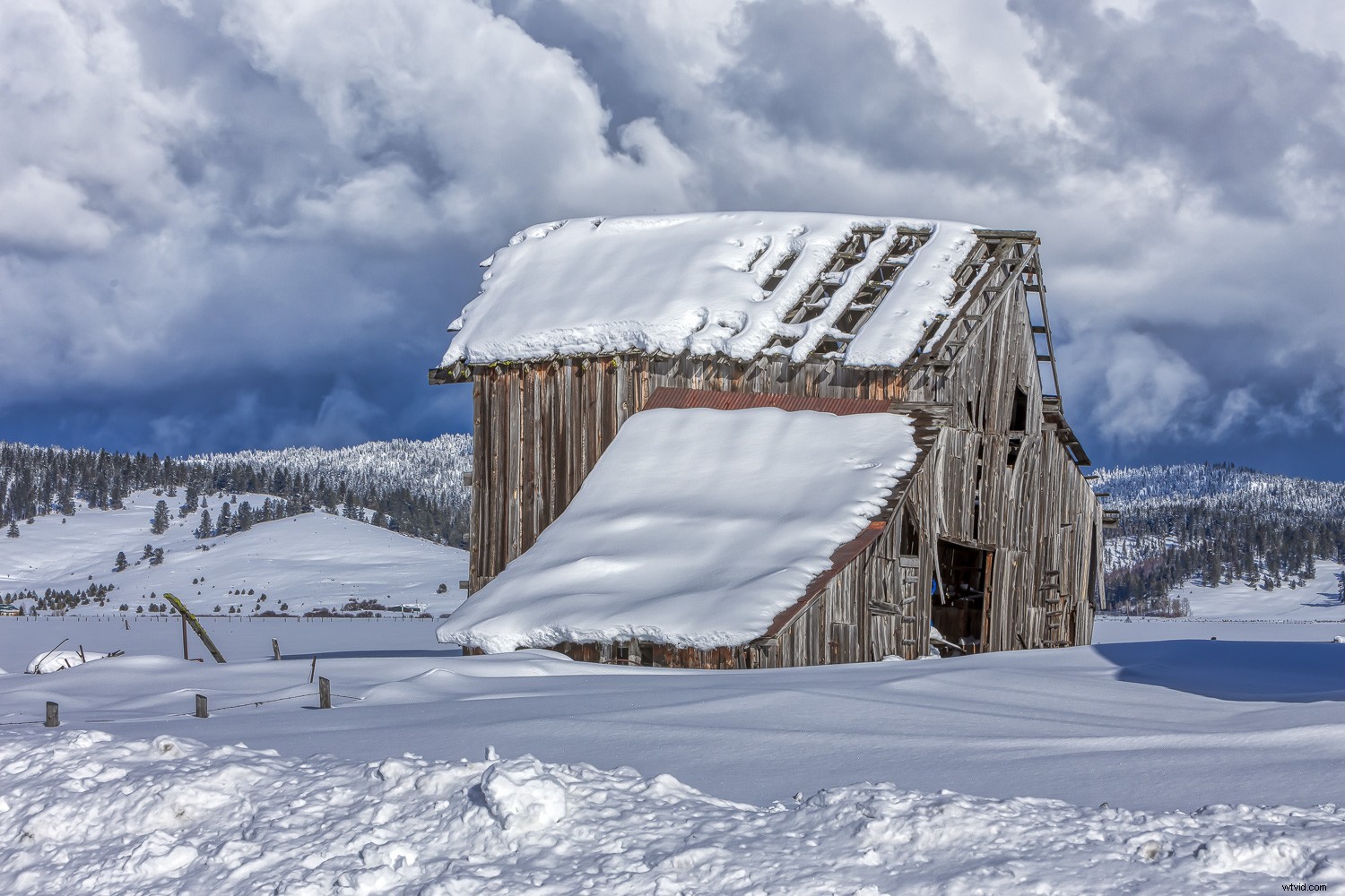 Photography Beyond Human Vision: Types That Freeze Time and Reveal the Invisible