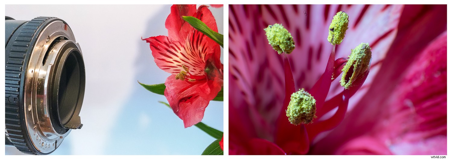 Photography Beyond Human Vision: Types That Freeze Time and Reveal the Invisible