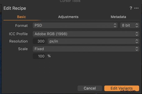 Master Capture One Pro and Photoshop: Seamless Workflow for Pro Photo Editing