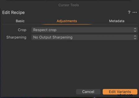 Master Capture One Pro and Photoshop: Seamless Workflow for Pro Photo Editing