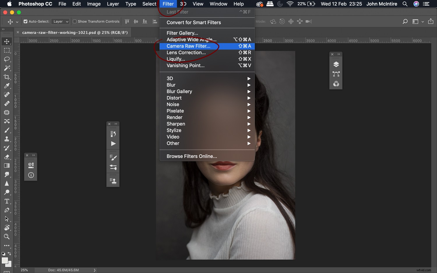 Master Photoshop s Camera Raw Filter: Elevate Your Photo Editing to Pro Level