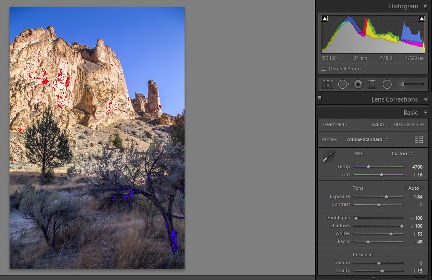 Learning from Photo Mistakes: Master the  Photo Autopsy  Technique
