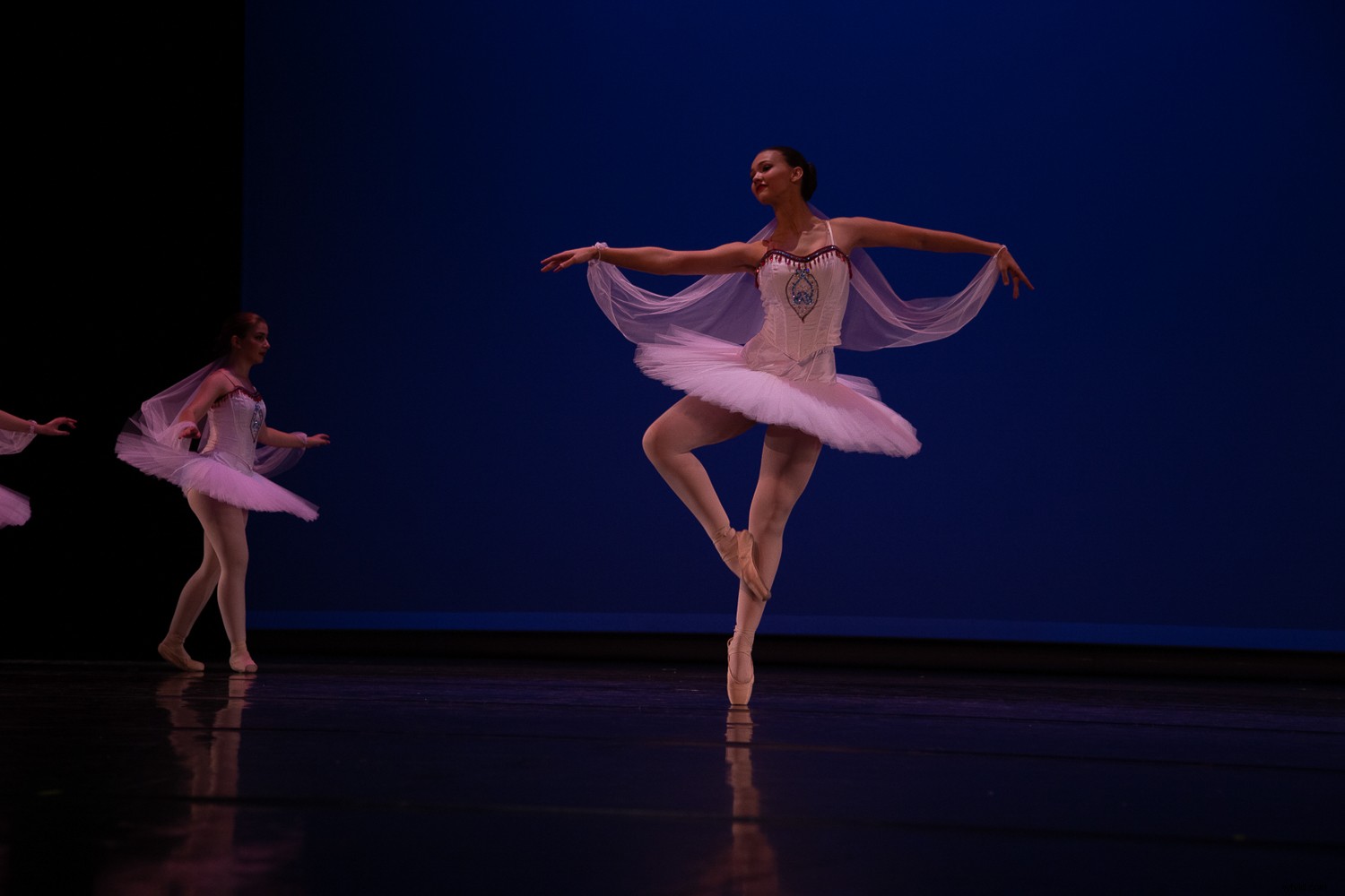 Learning from Photo Mistakes: Master the  Photo Autopsy  Technique