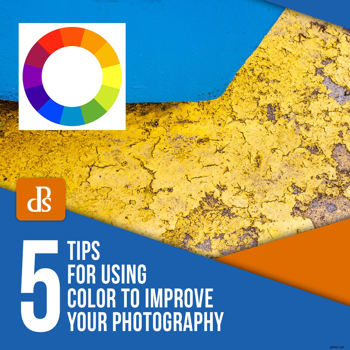 5 Expert Tips to Master Color and Elevate Your Photography