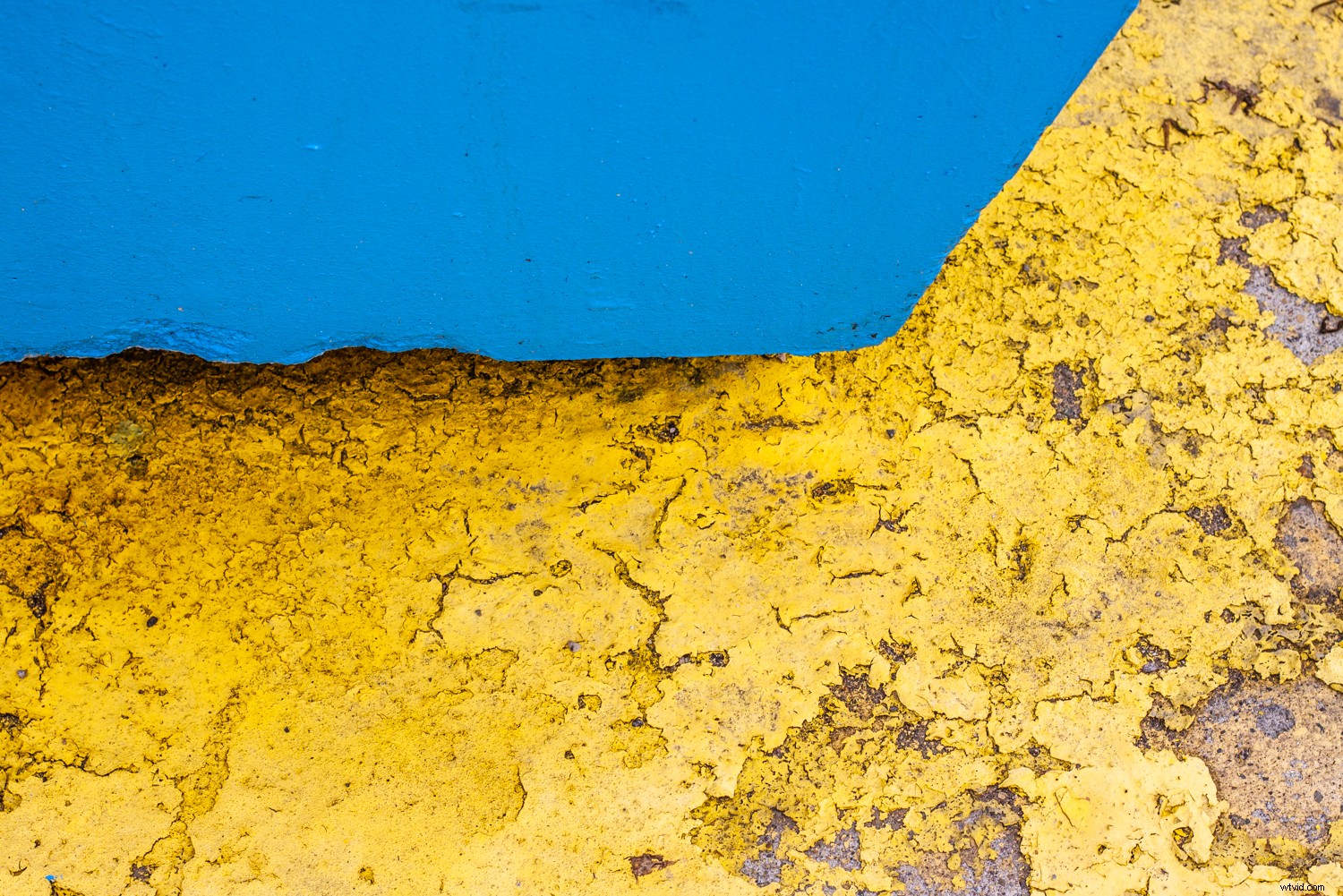 5 Expert Tips to Master Color and Elevate Your Photography