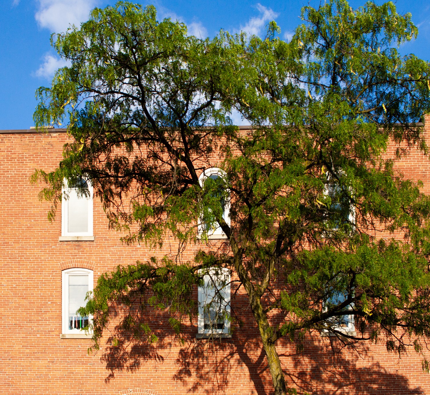 5 Expert Tips to Master Color and Elevate Your Photography