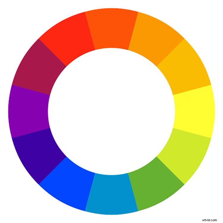 5 Expert Tips to Master Color and Elevate Your Photography