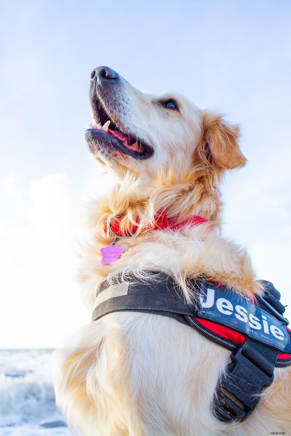 5 Expert Tips to Master Color and Elevate Your Photography