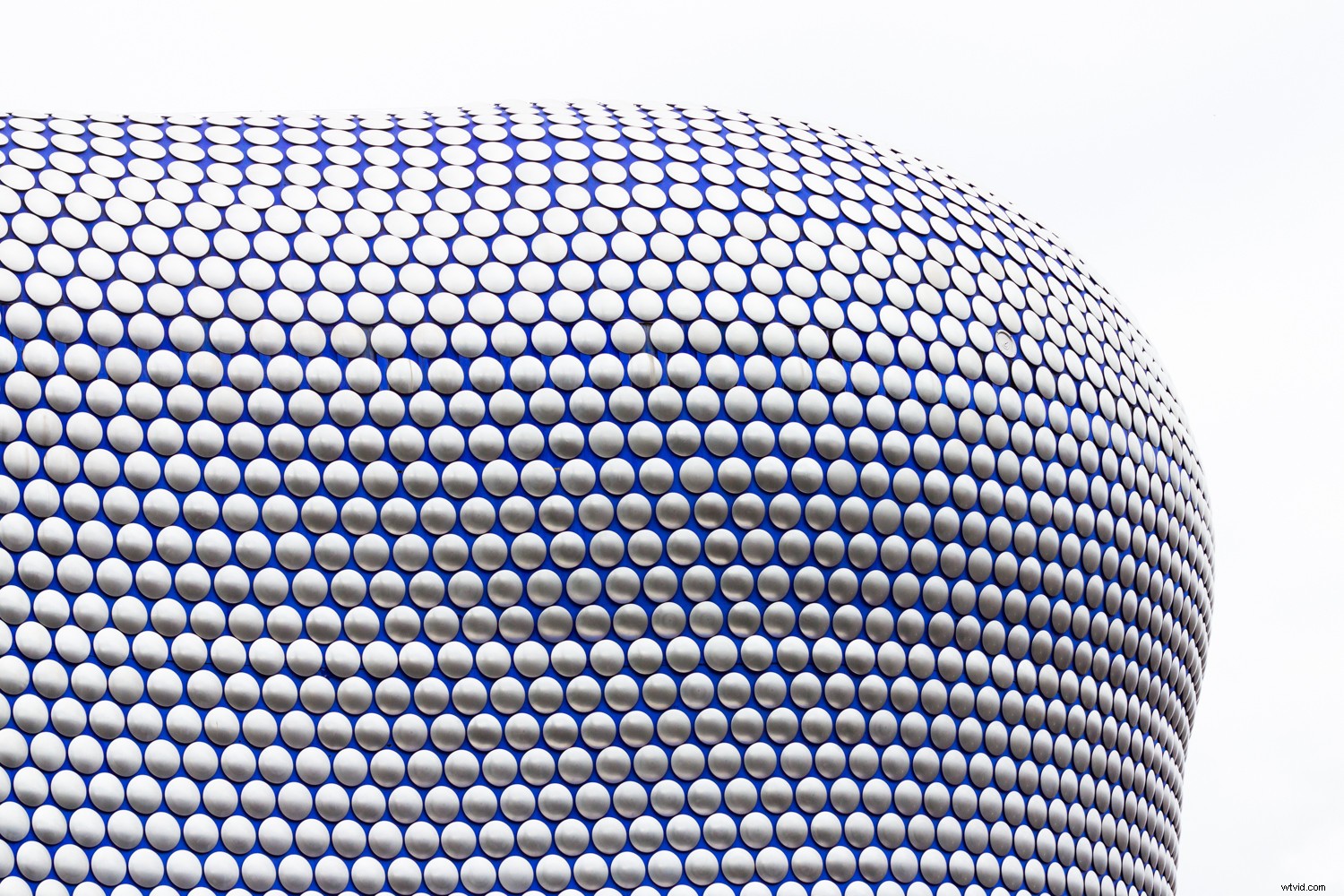 5 Expert Tips to Master Color and Elevate Your Photography