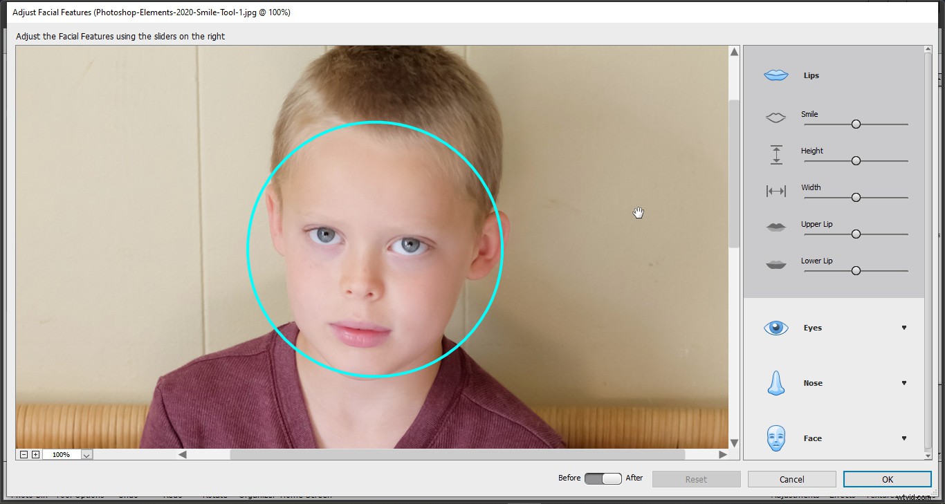 Photoshop Elements 2020 Smile Tool: What It Is and How to Use It