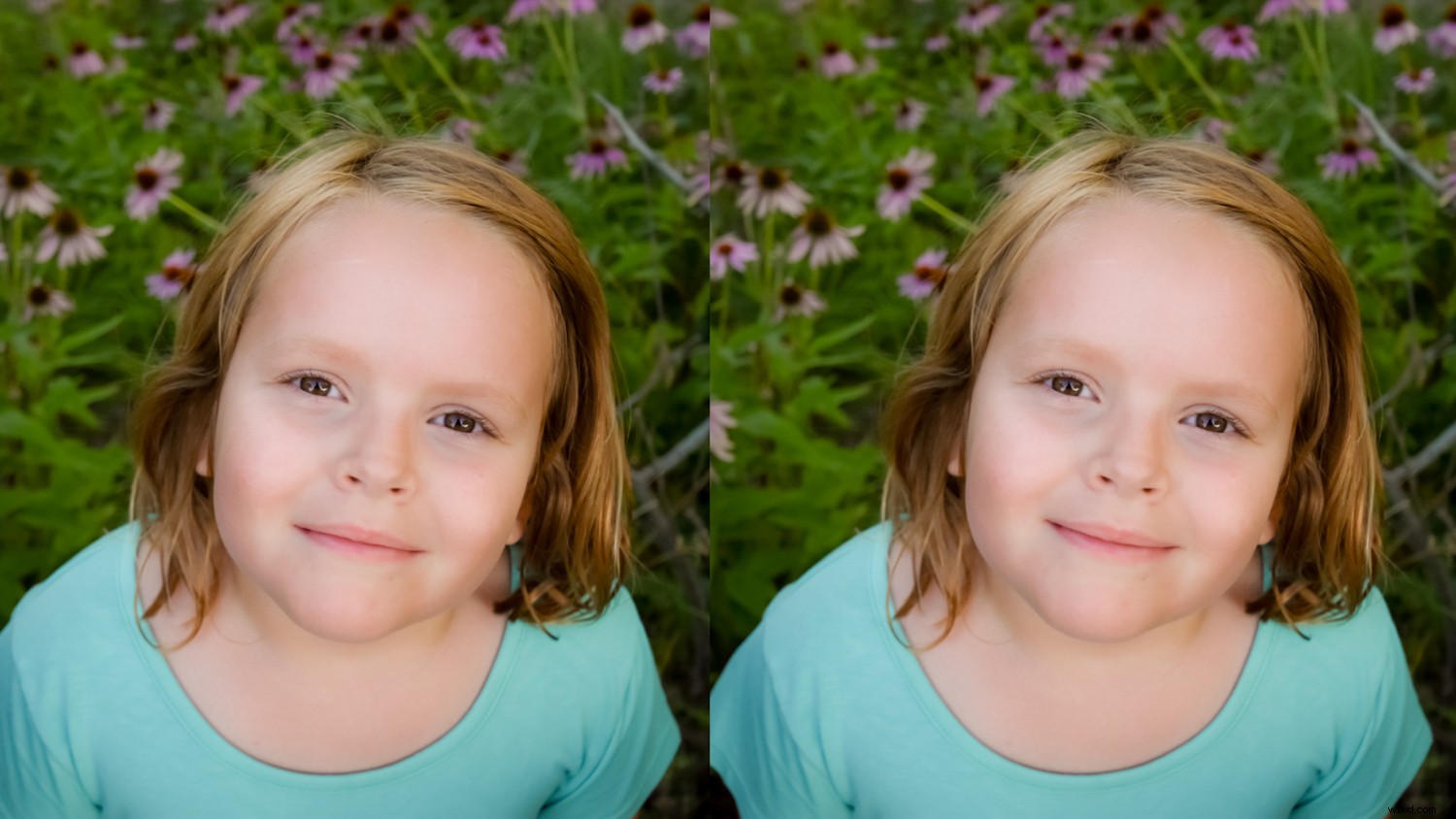 Photoshop Elements 2020 Smile Tool: What It Is and How to Use It