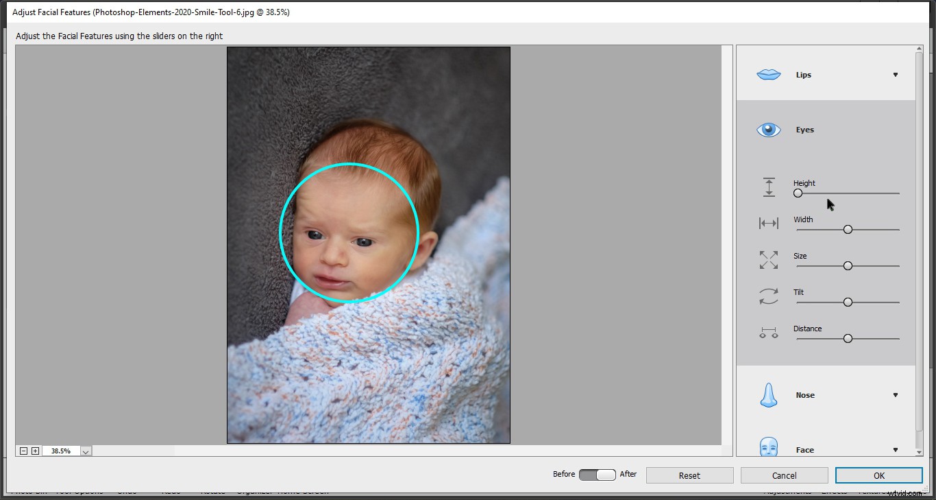 Photoshop Elements 2020 Smile Tool: What It Is and How to Use It