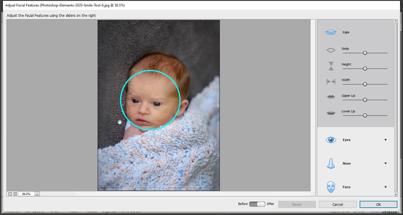 Photoshop Elements 2020 Smile Tool: What It Is and How to Use It