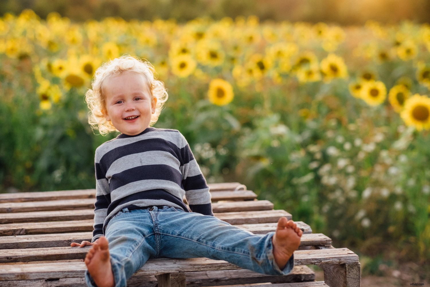 Photoshop Elements 2020 Smile Tool: What It Is and How to Use It