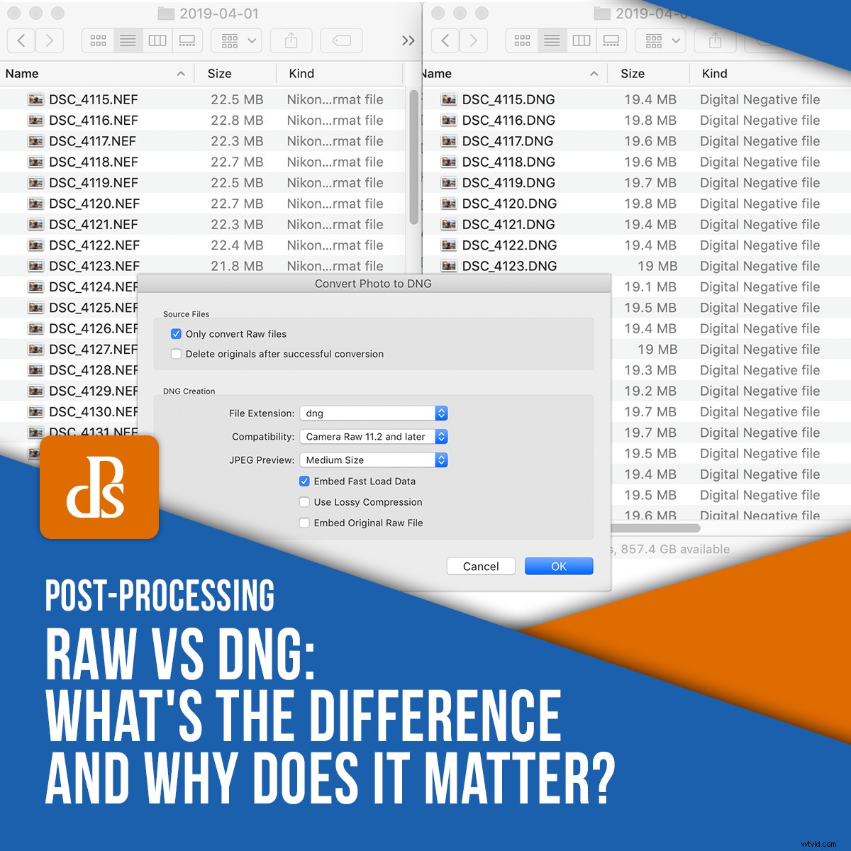 RAW vs. DNG: Key Differences and Why They Matter for Photographers