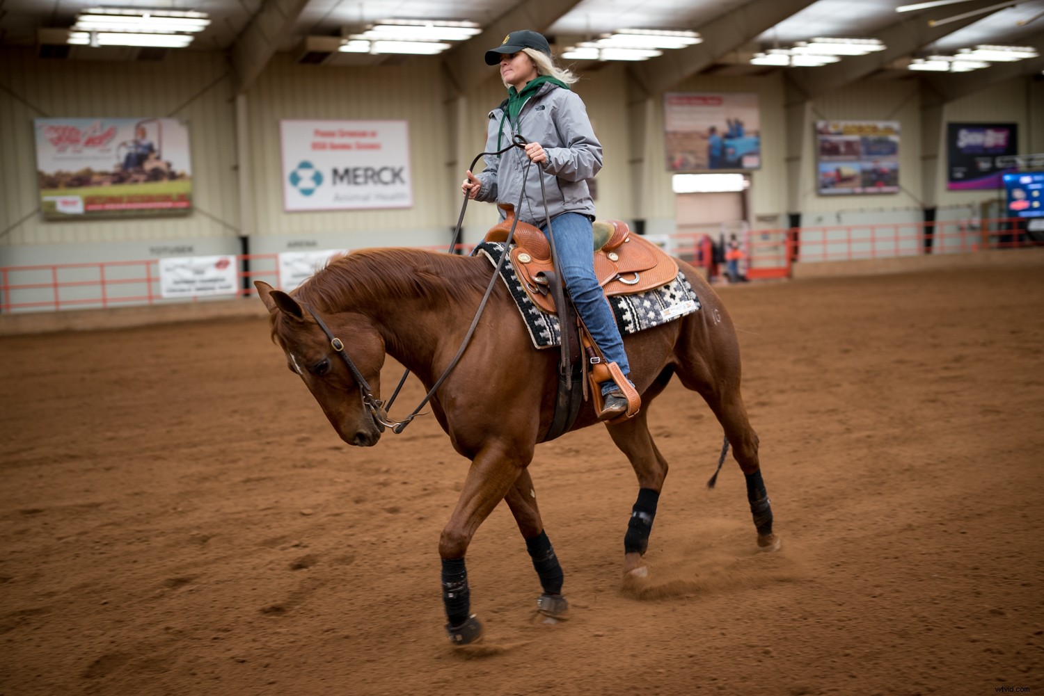 RAW vs. DNG: Key Differences and Why They Matter for Photographers