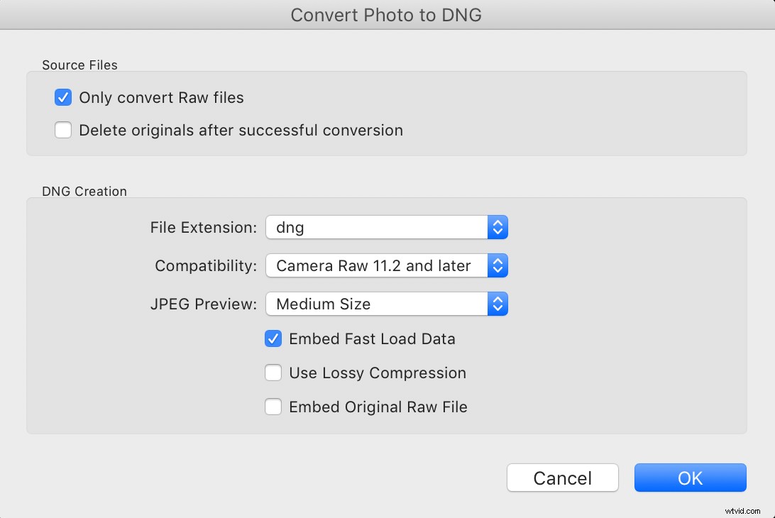 RAW vs. DNG: Key Differences and Why They Matter for Photographers