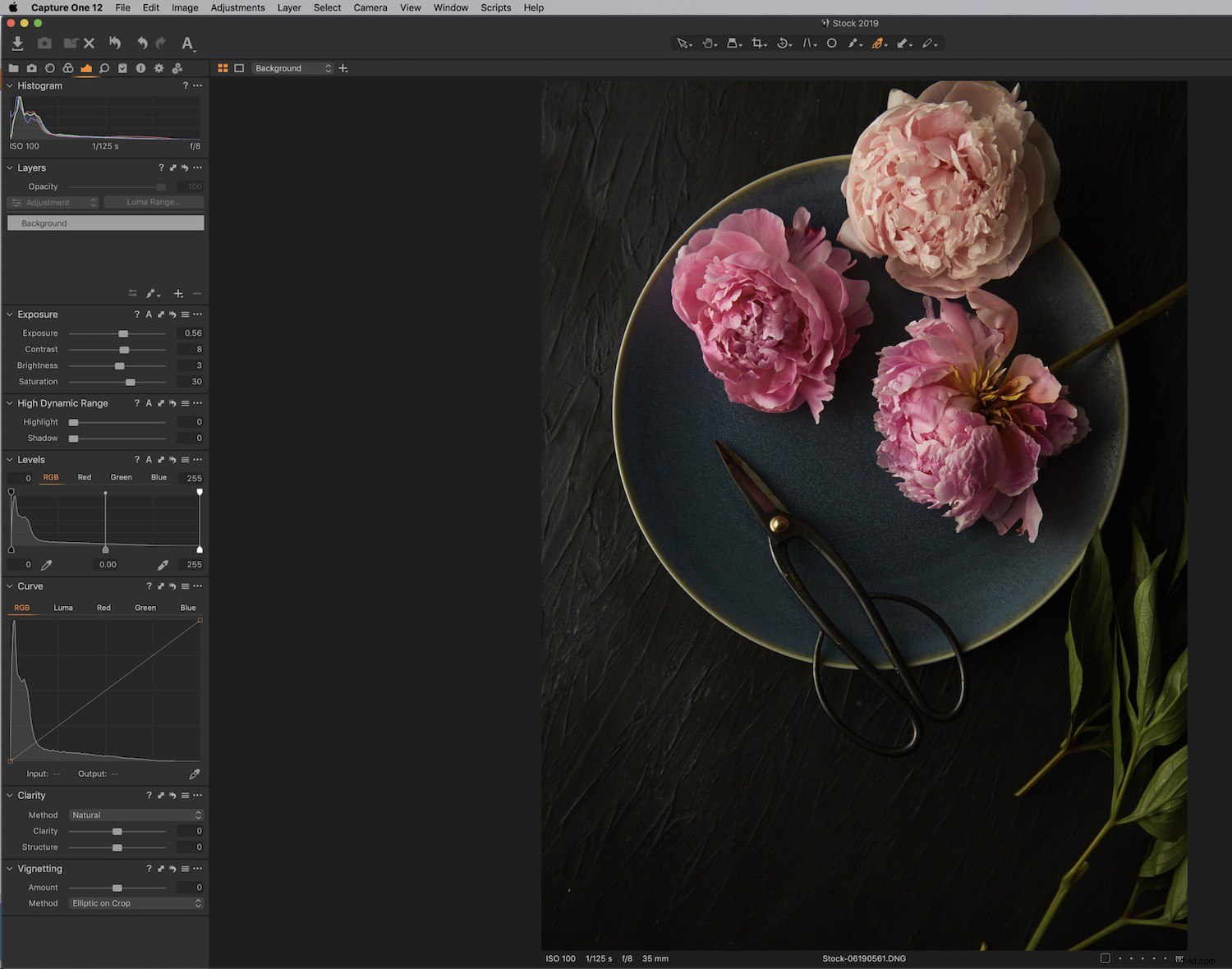 Master Color Grading in Capture One Pro: Expert Step-by-Step Guide