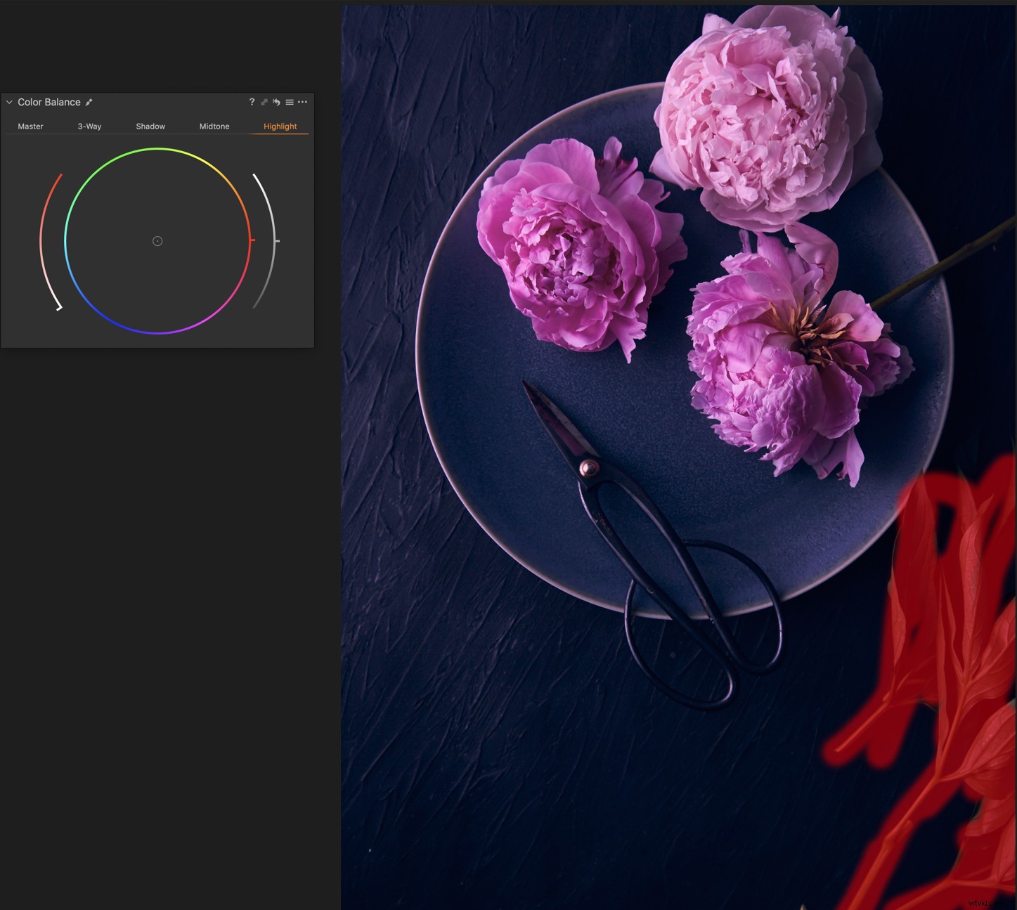 Master Color Grading in Capture One Pro: Expert Step-by-Step Guide