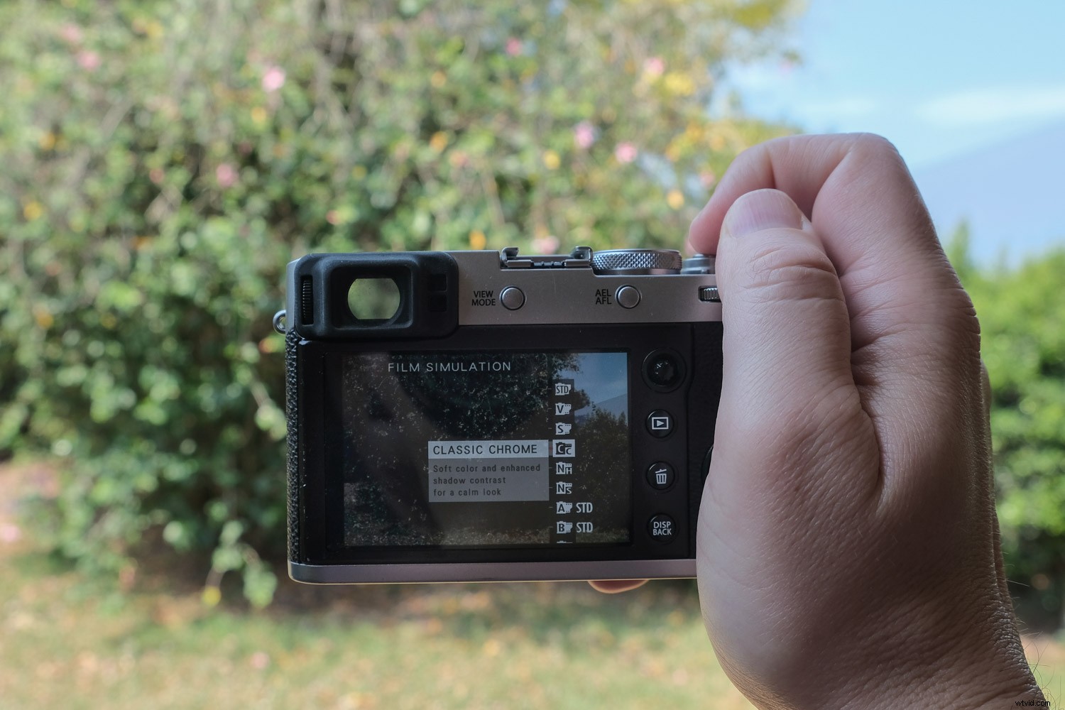 Master Fujifilm JPEG Film Simulations: Complete Guide with Sample Images