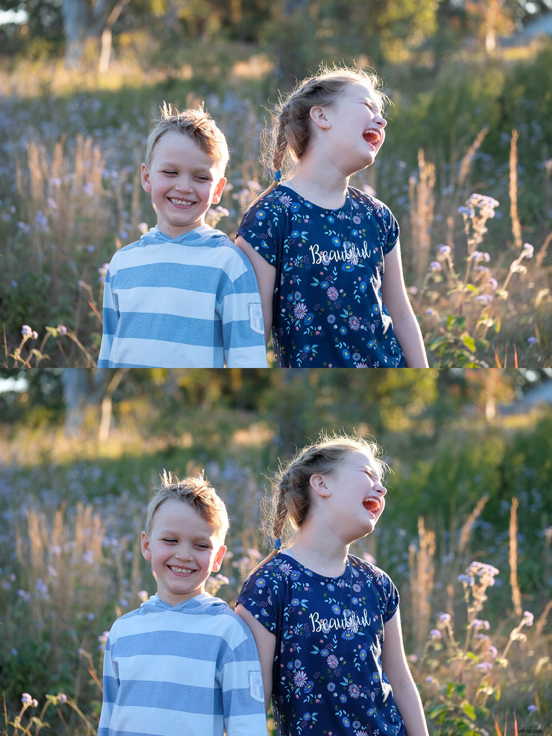 Master Fujifilm JPEG Film Simulations: Complete Guide with Sample Images