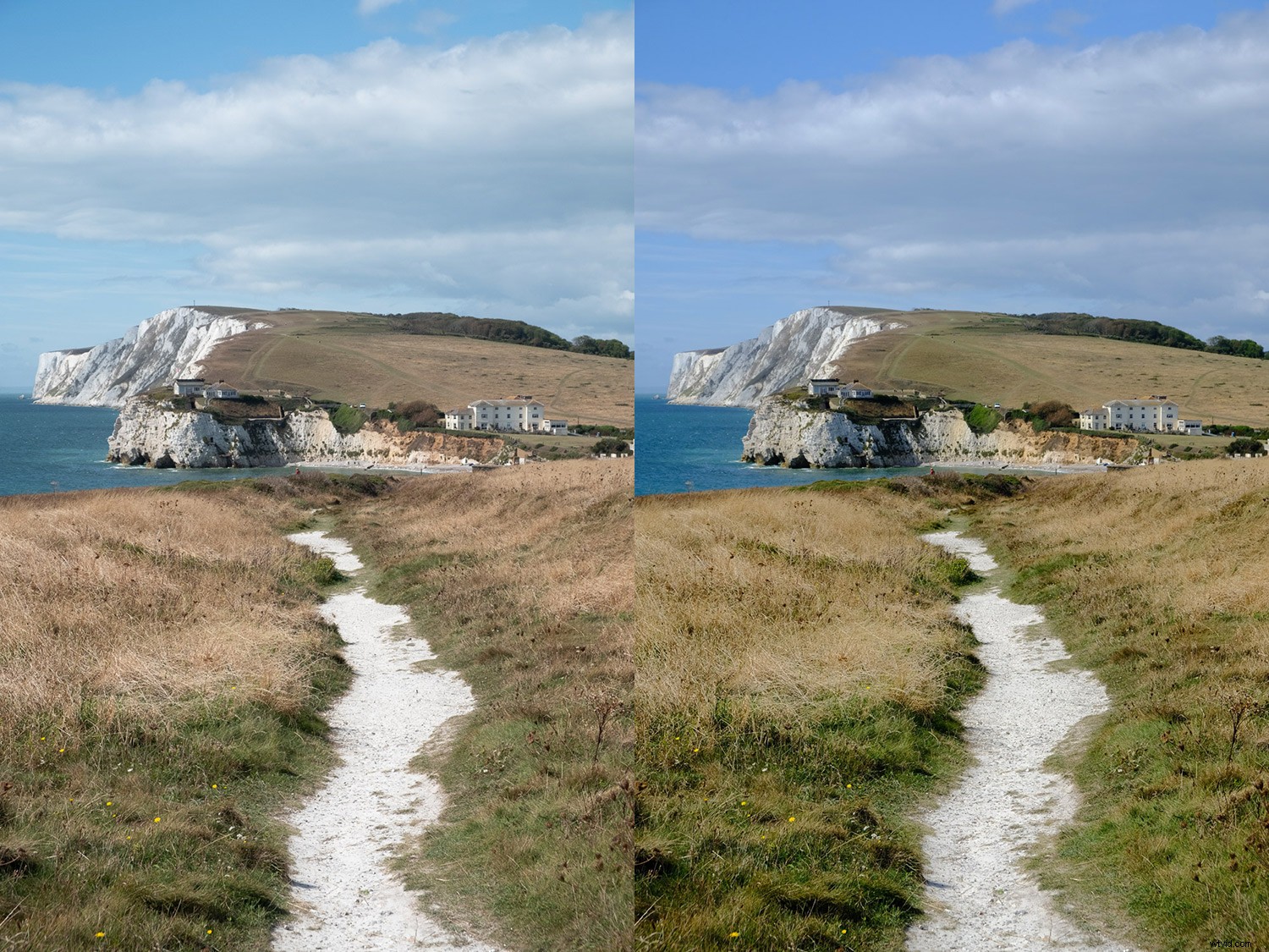 Master Fujifilm JPEG Film Simulations: Complete Guide with Sample Images