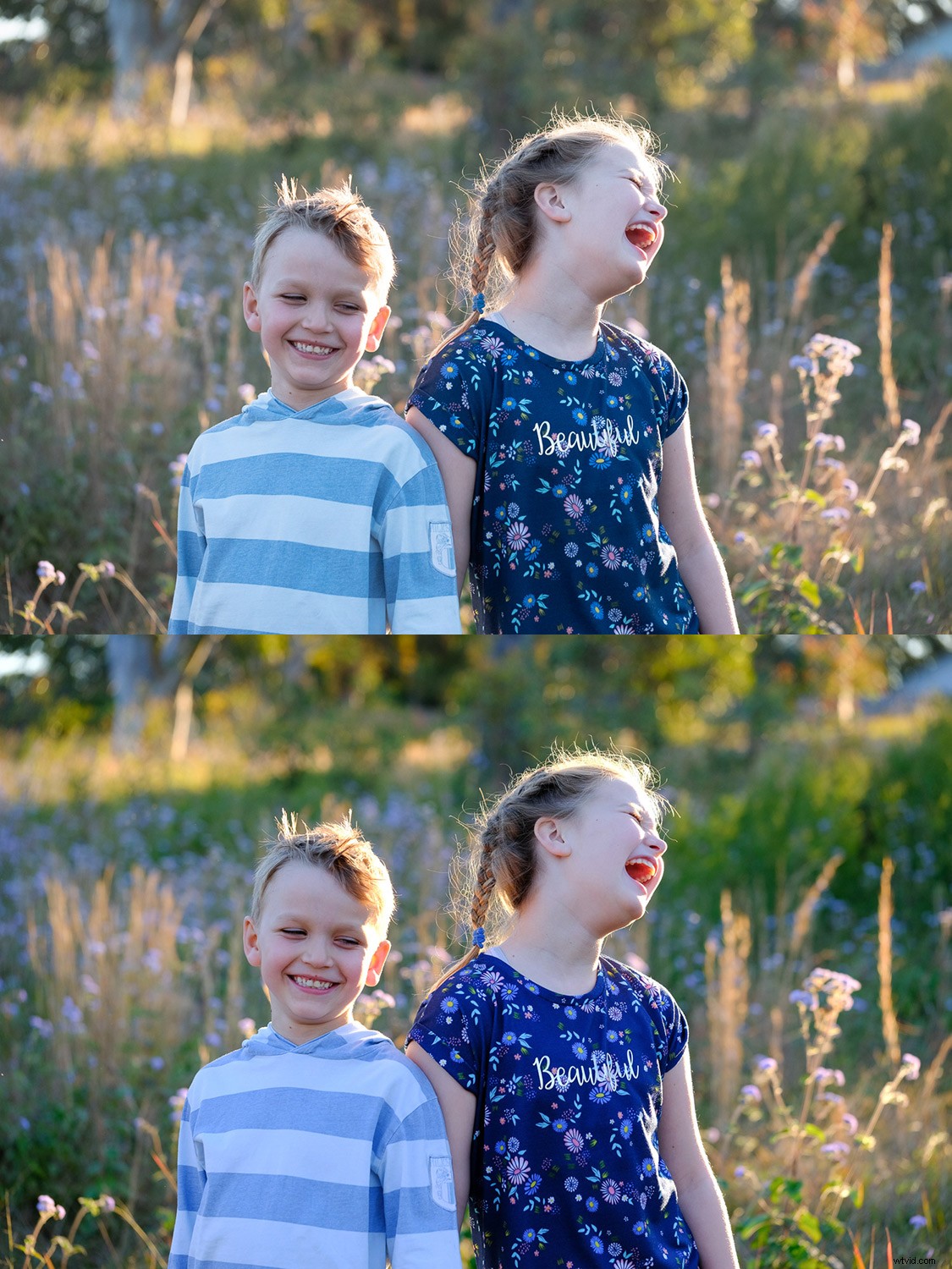 Master Fujifilm JPEG Film Simulations: Complete Guide with Sample Images