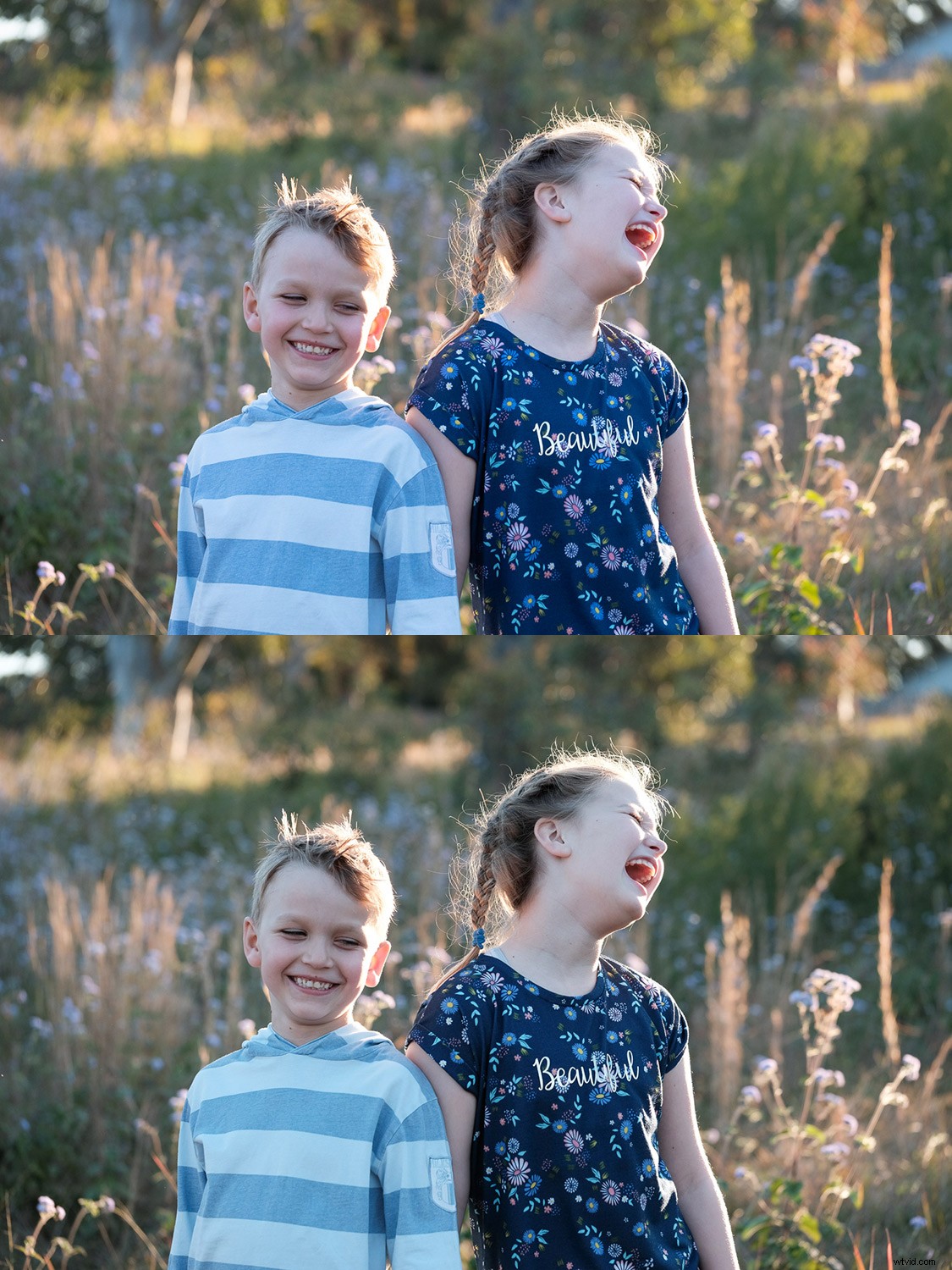 Master Fujifilm JPEG Film Simulations: Complete Guide with Sample Images