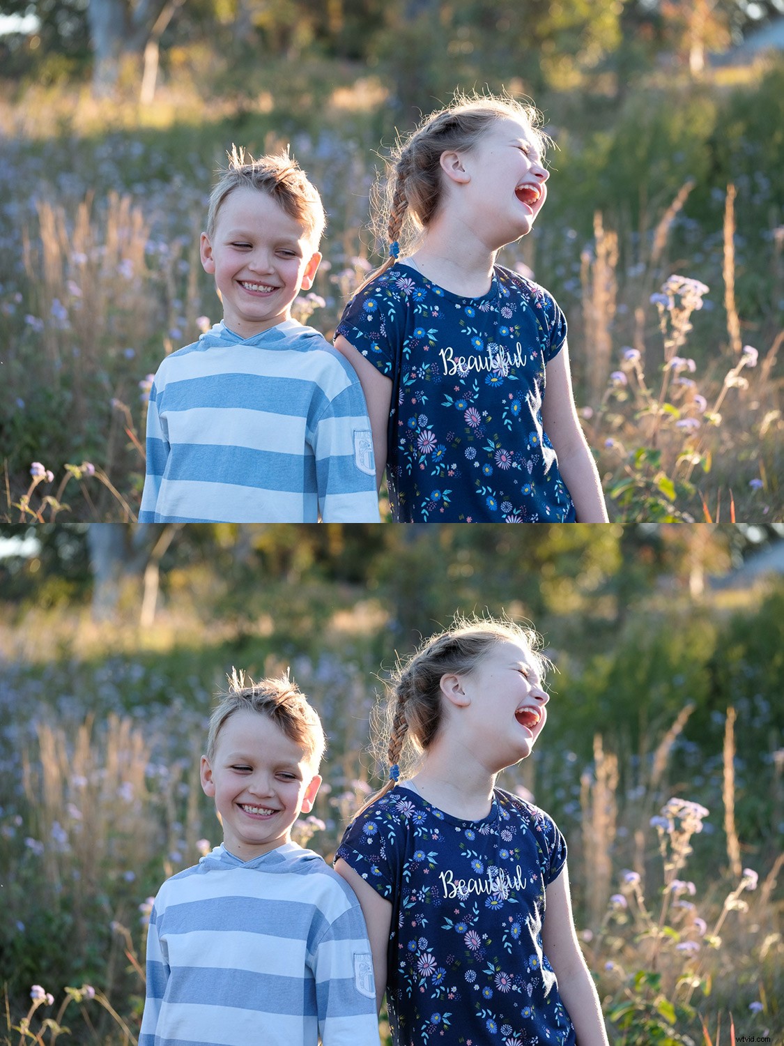 Master Fujifilm JPEG Film Simulations: Complete Guide with Sample Images