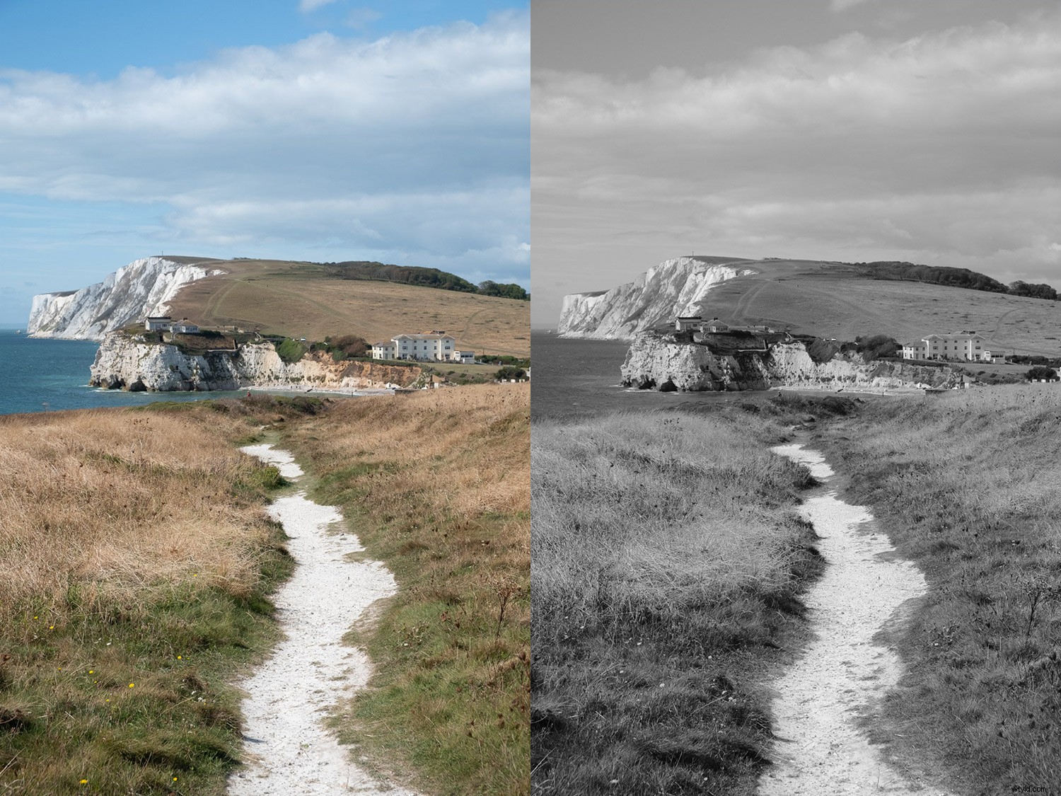 Master Fujifilm JPEG Film Simulations: Complete Guide with Sample Images