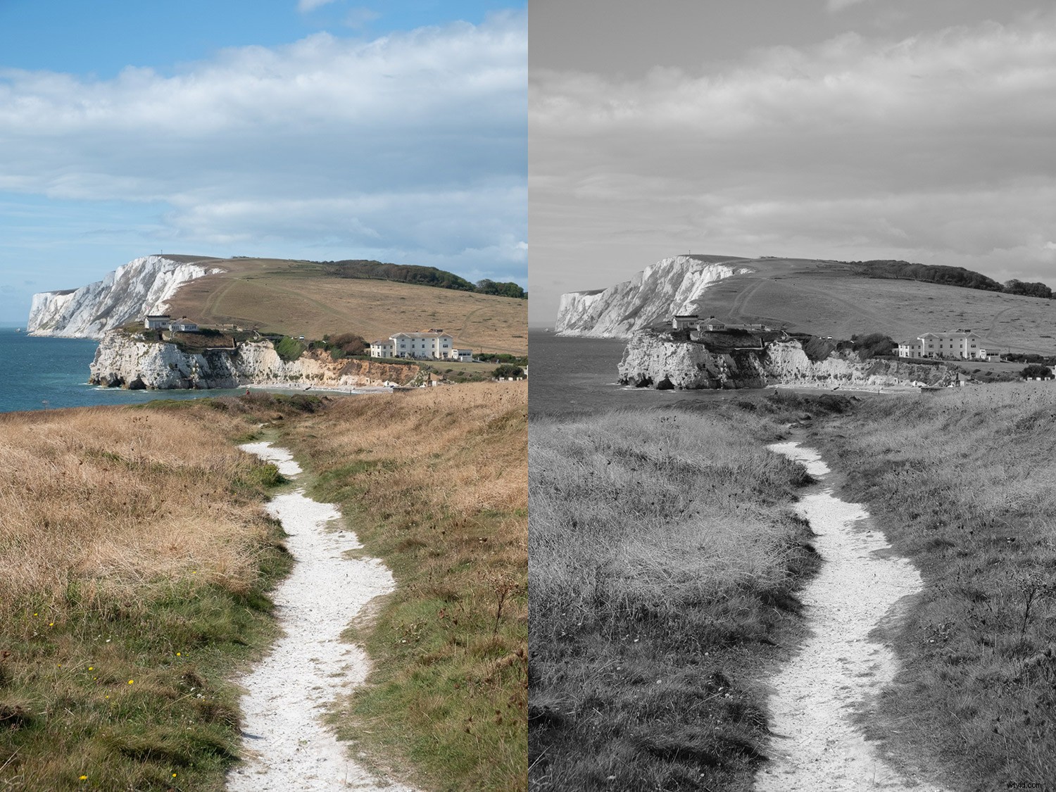 Master Fujifilm JPEG Film Simulations: Complete Guide with Sample Images