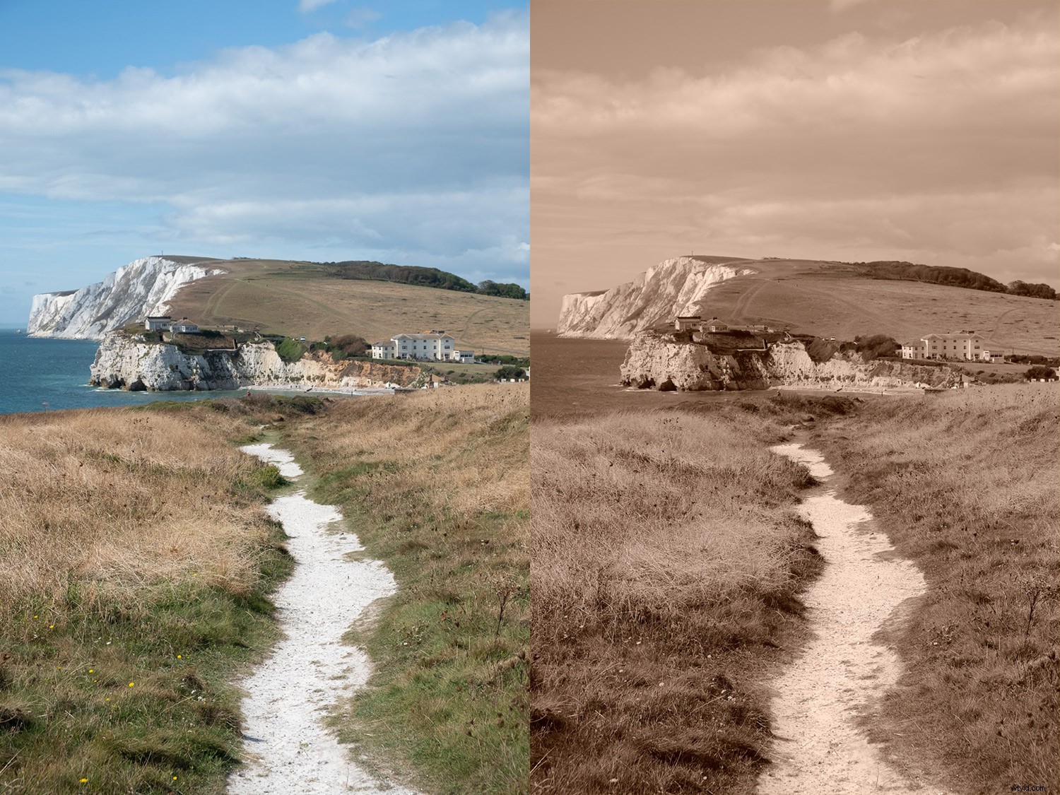 Master Fujifilm JPEG Film Simulations: Complete Guide with Sample Images