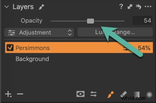 Mastering Layers in Capture One Pro: Beginner s Guide to Pro Editing