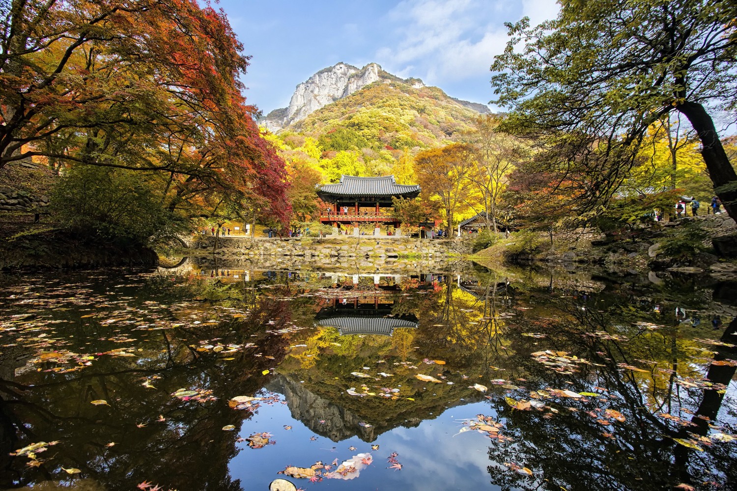 Master Photo Organization: Catalog and Store Images for Effortless Access