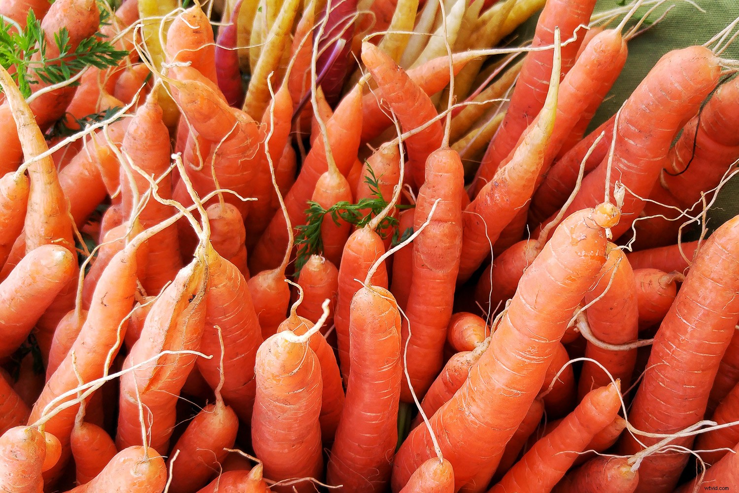 Stunning Fruit and Vegetable Still Life Photography Ideas & Techniques