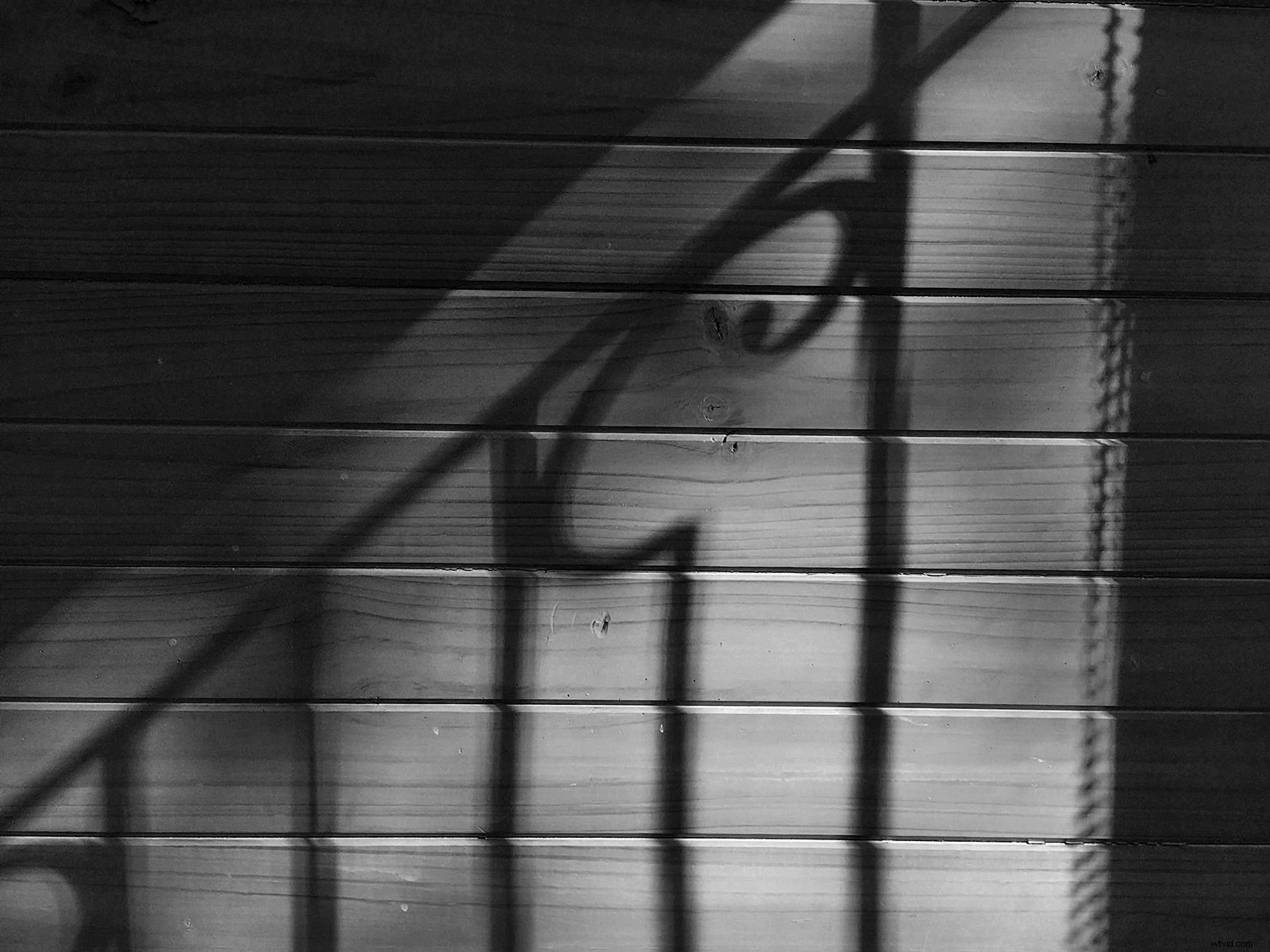 Capture Stunning Window Light: Weekly Photography Challenge