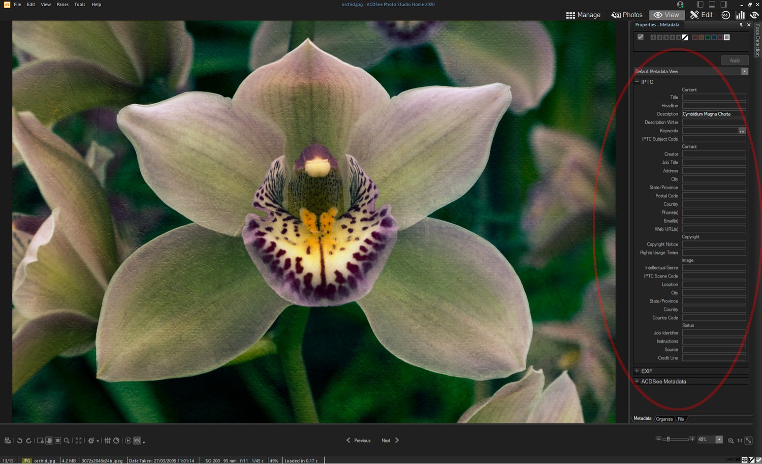 ACDSee Photo Studio Home 2020 Review: Powerful Photo Management & Editing Software