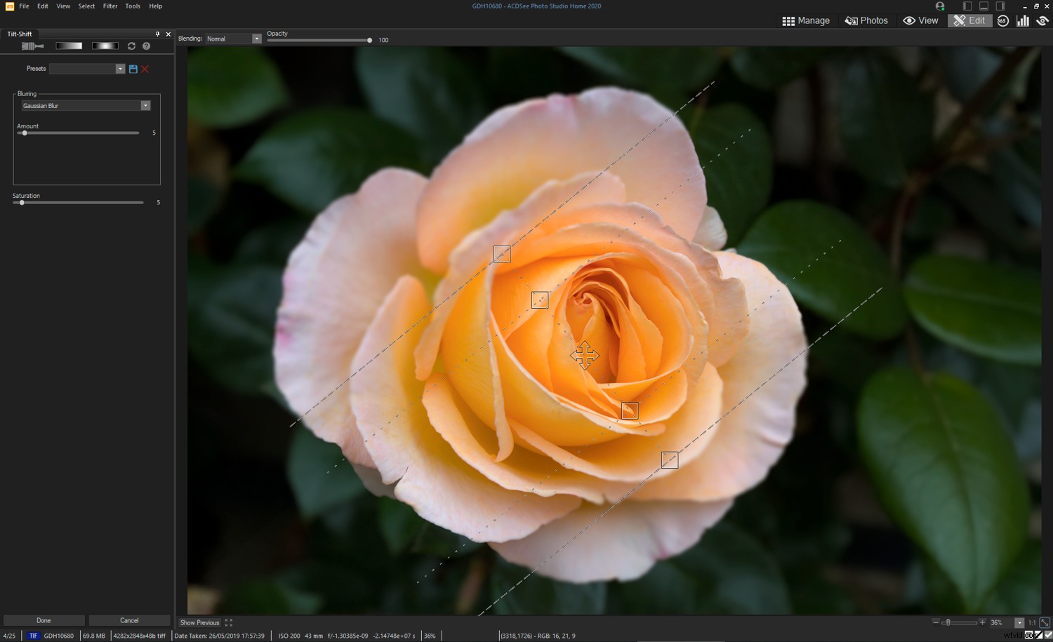 ACDSee Photo Studio Home 2020 Review: Powerful Photo Management & Editing Software