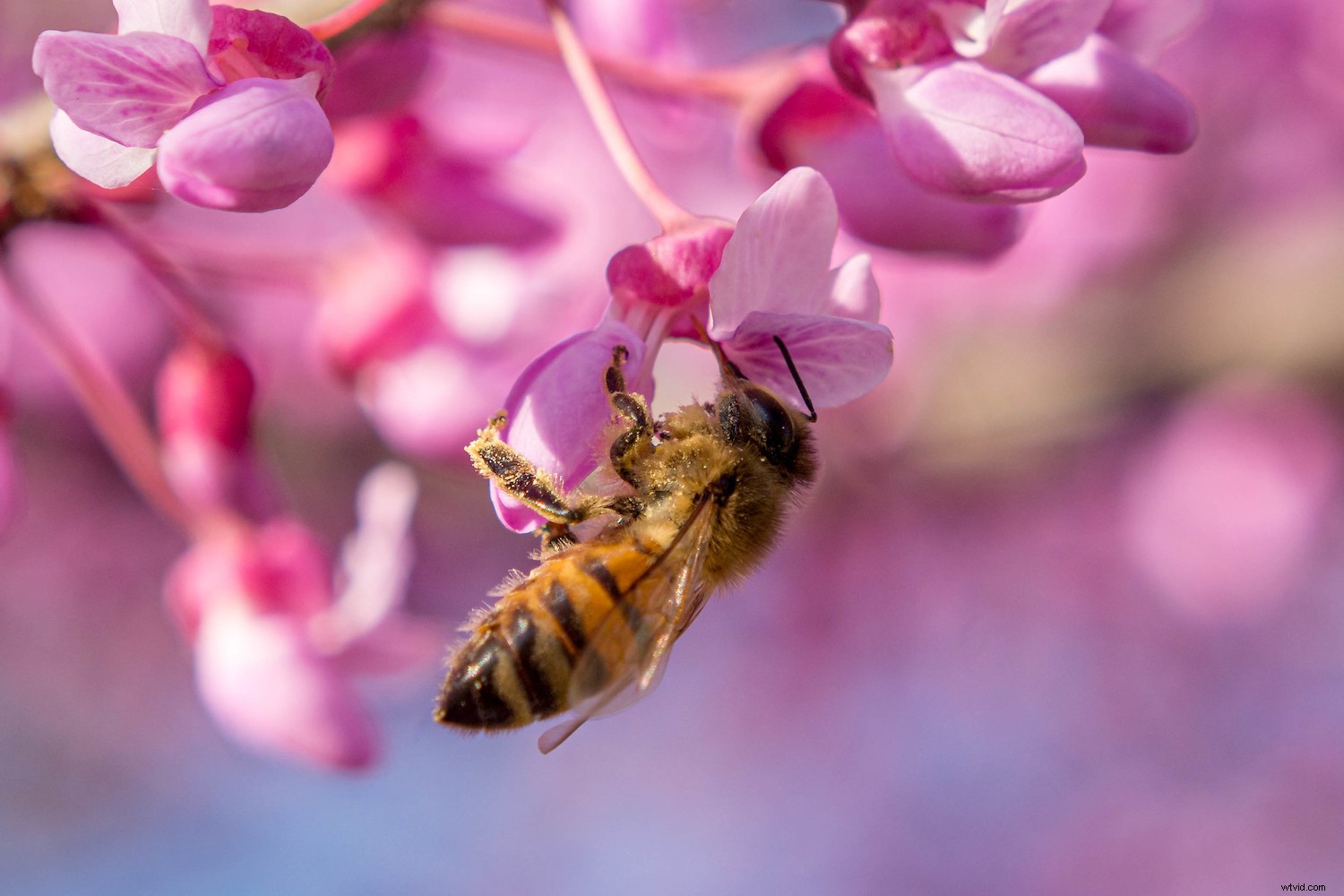 4 Essential Tips for Beginner Photographers to Elevate Your Shots