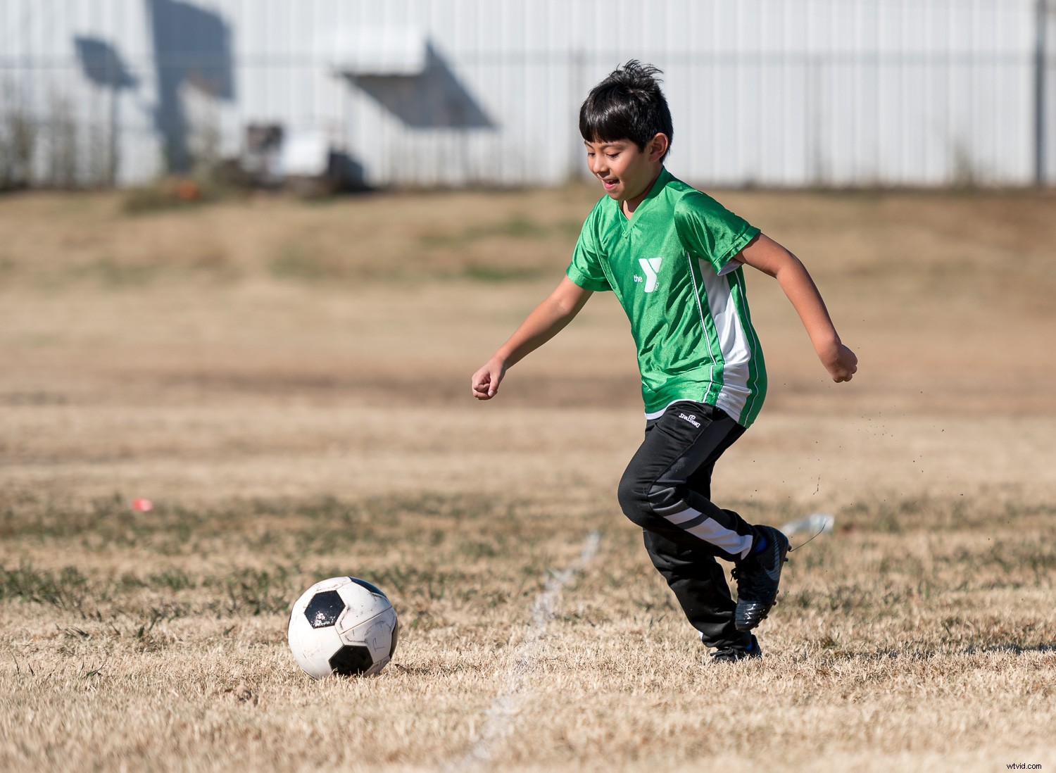 4 Essential Tips for Beginner Photographers to Elevate Your Shots