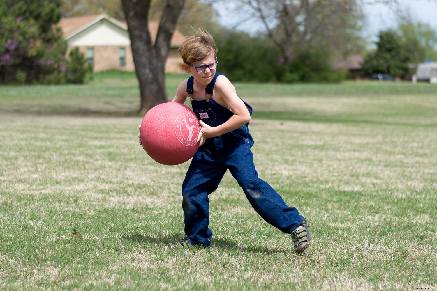 4 Essential Tips for Beginner Photographers to Elevate Your Shots