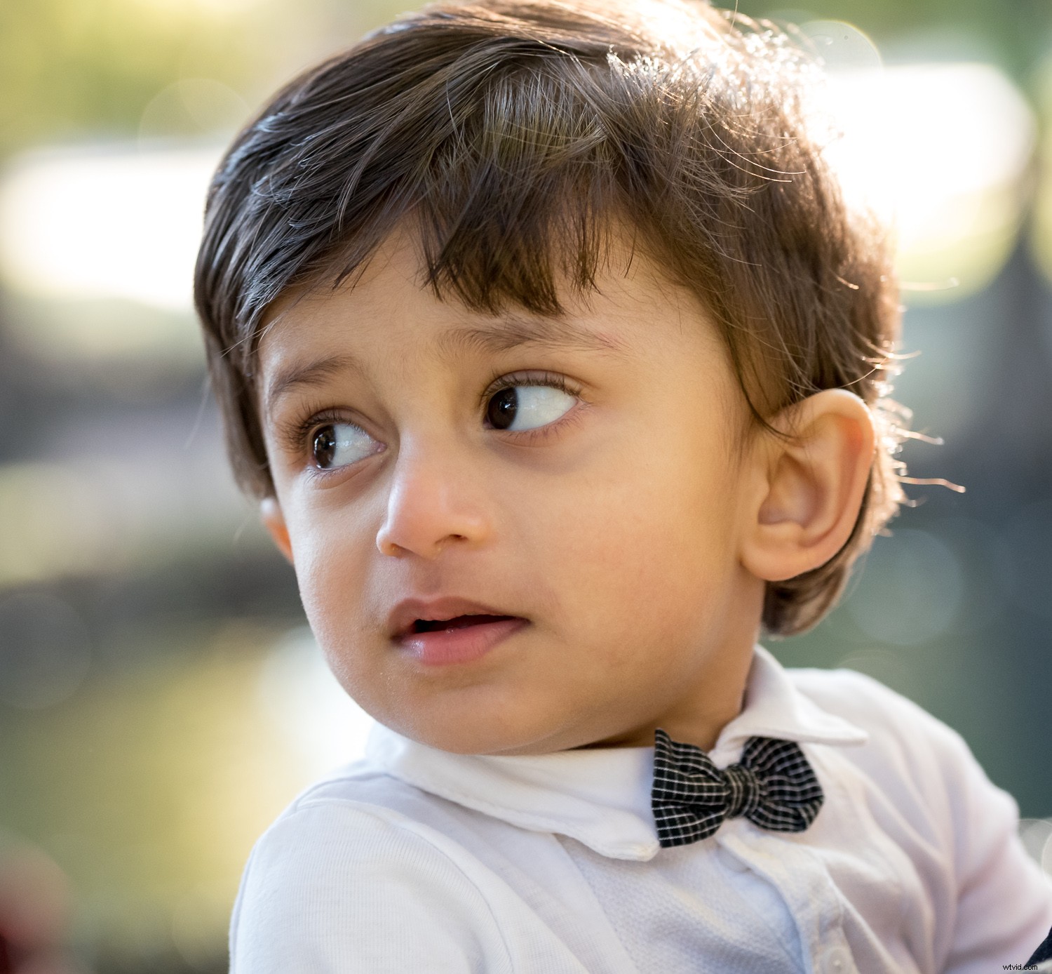 4 Essential Tips for Beginner Photographers to Elevate Your Shots