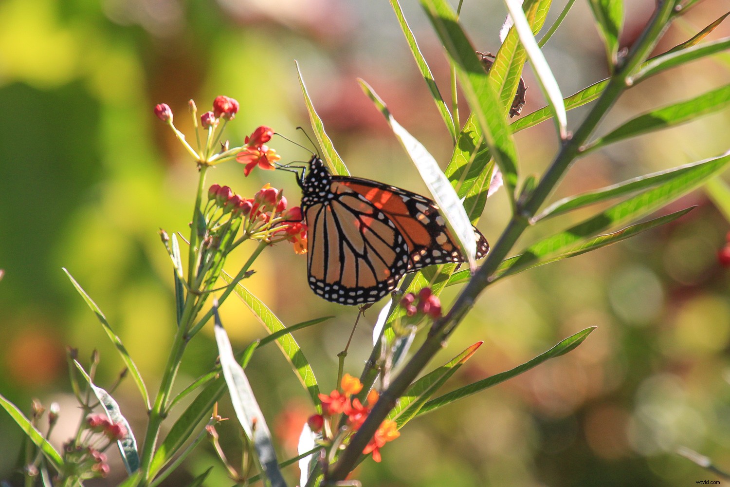 4 Essential Tips for Beginner Photographers to Elevate Your Shots