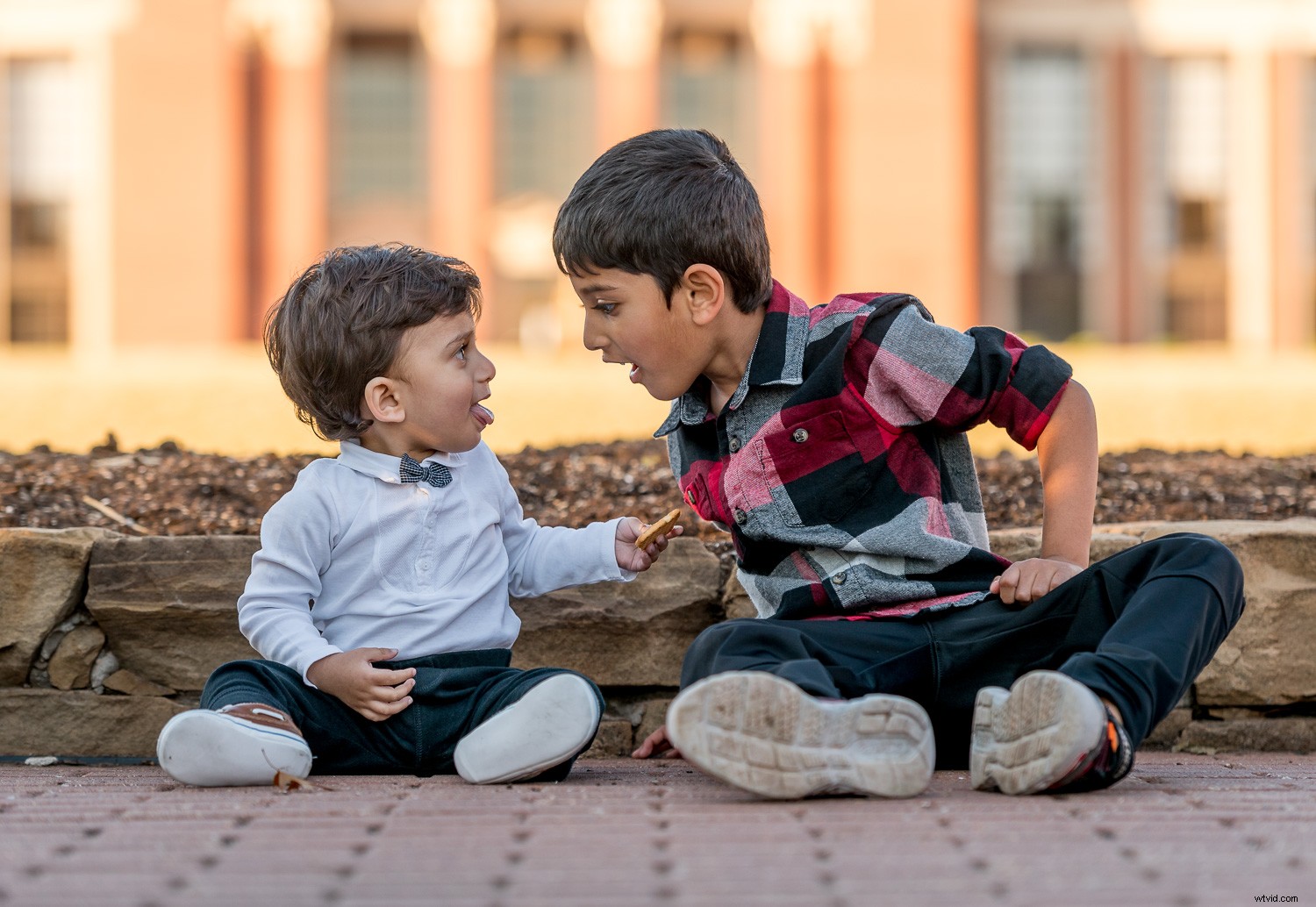 4 Essential Tips for Beginner Photographers to Elevate Your Shots