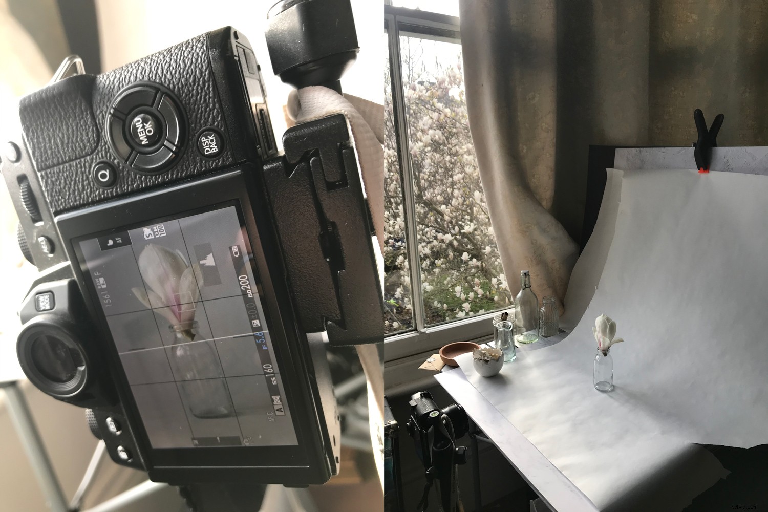 Step-by-Step Guide: Create Stunning Pep Ventosa-Inspired Still Life Photography