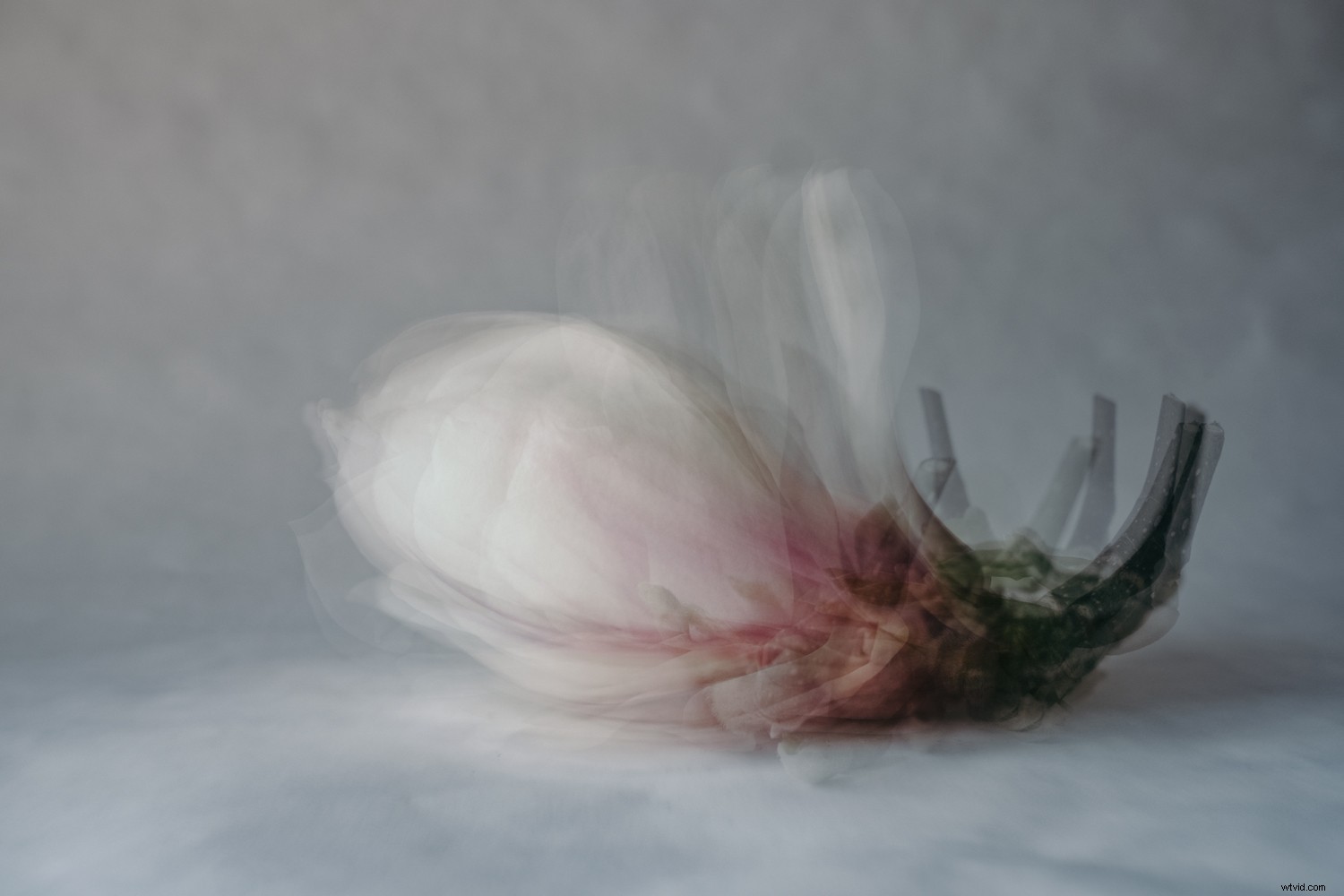 Step-by-Step Guide: Create Stunning Pep Ventosa-Inspired Still Life Photography