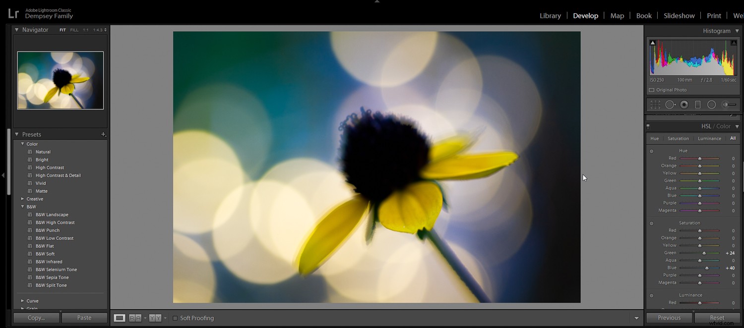5 Proven Post-Processing Effects to Instantly Elevate Your Photos