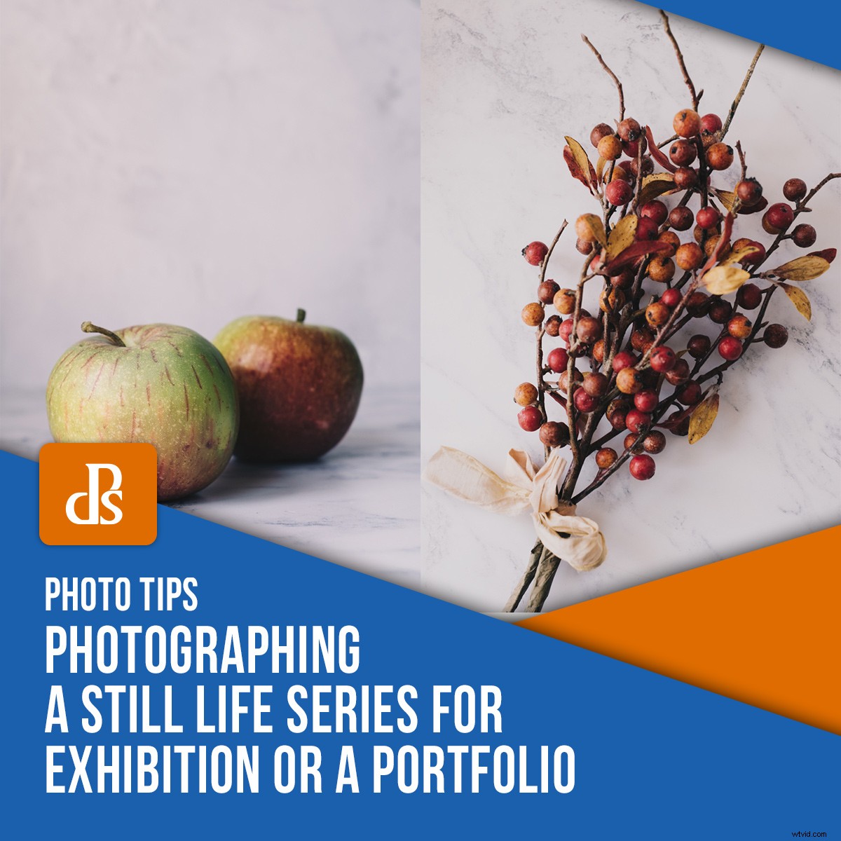 Mastering Still Life Photography: Crafting Cohesive Series for Portfolios and Exhibitions