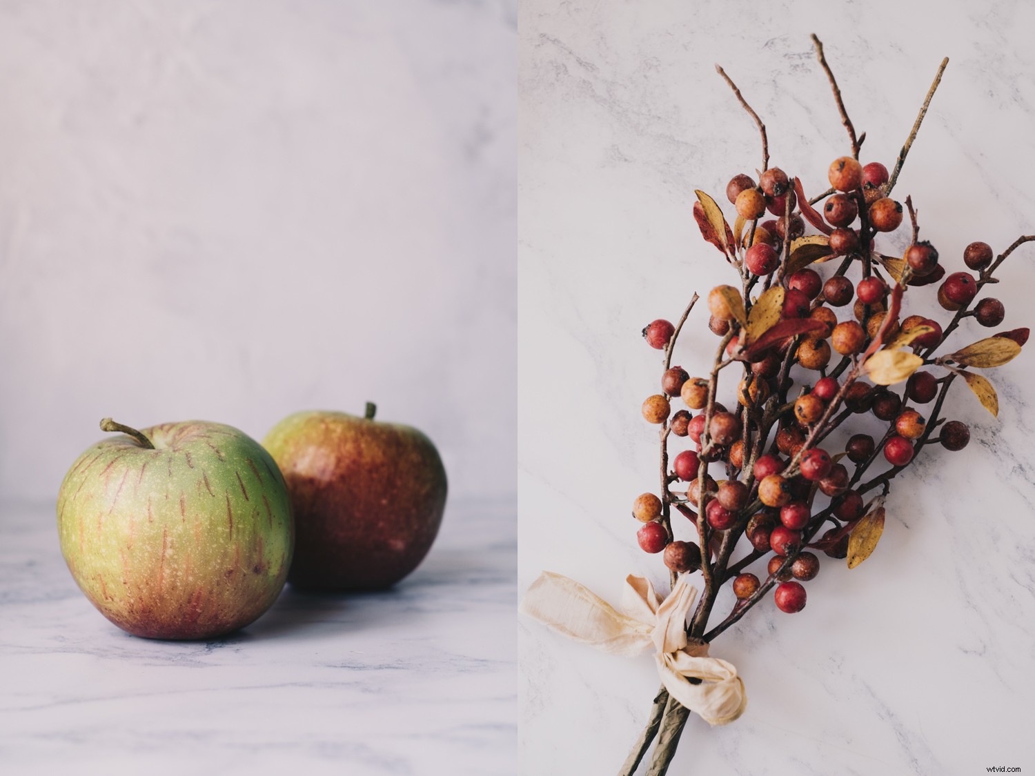 Mastering Still Life Photography: Crafting Cohesive Series for Portfolios and Exhibitions